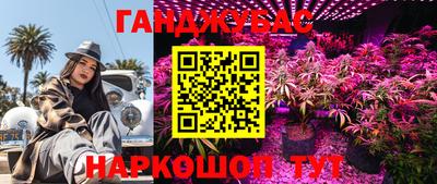 spice Партизанск