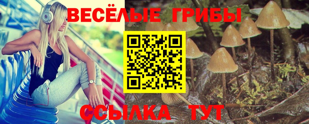 Галлюциногенные грибы Magic Shrooms  Галлюциногенные грибы Psilocybe  Вход с VPN  Рыбинск 