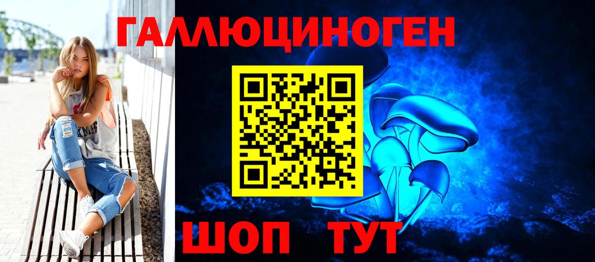 Псилоцибиновые грибы Psilocybine cubensis Рыбинск